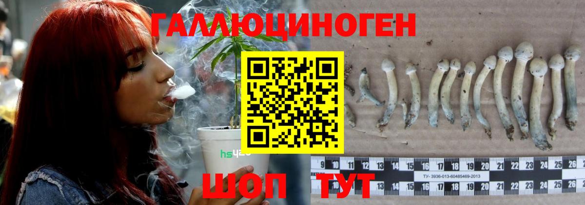 купить наркотики цена  Вход с VPN  Нурлат  Галлюциногенные грибы Magic Shrooms 